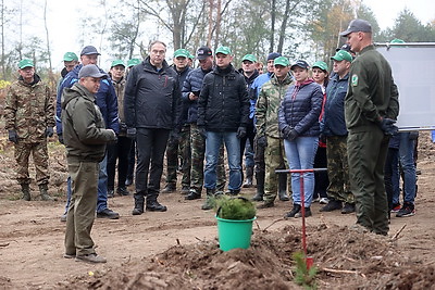 Караник об акции \"Дай лесу новае жыццё!\": это яркий пример сохранения лучших традиций белорусов