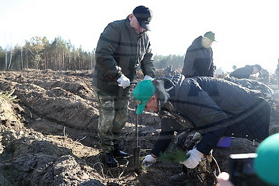 Пархомчик об акции \"Дай лесу новае жыццё!\": этот лес вырастет для будущего поколения