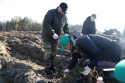 Пархомчик об акции \"Дай лесу новае жыццё!\": этот лес вырастет для будущего поколения