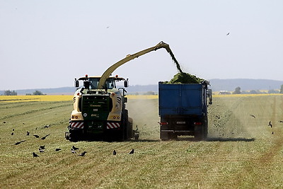 В Гродненской области идет активная заготовка кормов