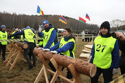 Лукашенко посетил чемпионат по колке дров среди журналистов