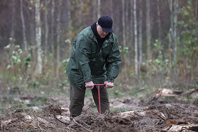 Лукашенко дал старт республиканской акции по восстановлению леса, пострадавшего после стихии