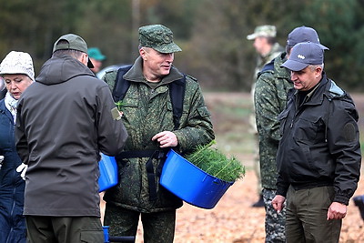 Вольфович: восстановление лесов на пострадавших территориях - наша общая задача