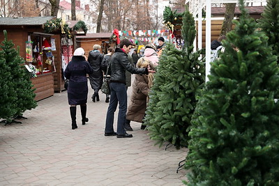 В Бресте открылись предновогодние ярмарки