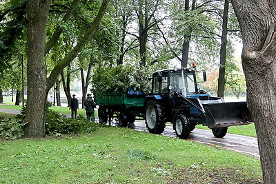 Последствия непогоды в Минске