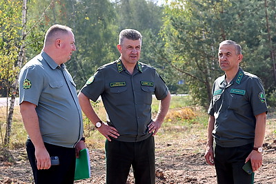 \"Через месяц начнем садить\". Кулик поделился планами по лесовосстановлению после июльской стихии