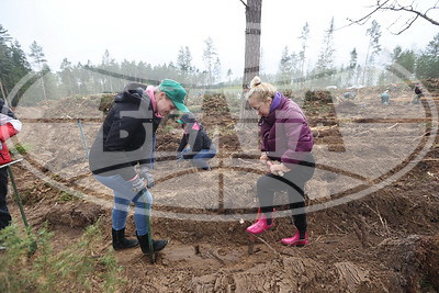 Команда БЕЛТА помогла восстановить лес в Столбцовском районе