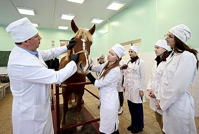 Создаем будущее, сохраняем традиции. Витебской ветеринарной академии 100 лет