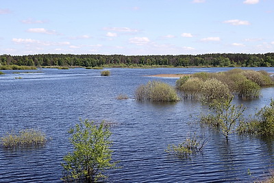 В Гомеле снизился уровень воды после весеннего паводка