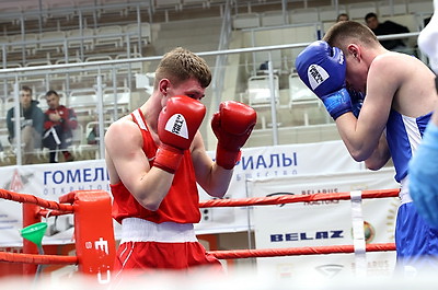 В Гомеле проходит первенство Республики Беларусь по боксу среди молодежи до 22 лет