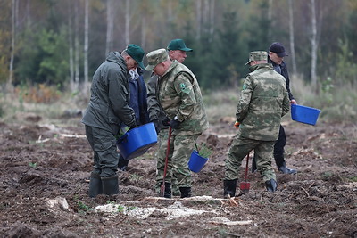 Лукашенко дал старт республиканской акции по восстановлению леса, пострадавшего после стихии