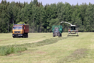 В Беларуси ведется заготовка кормов из трав первого укоса