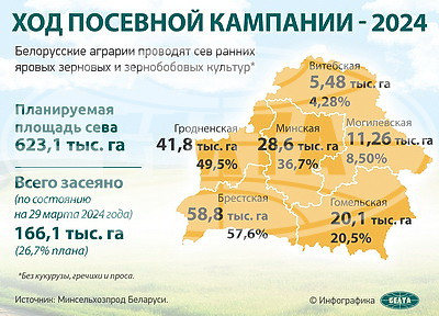 Инфографика. Ход посевной кампании - 2024