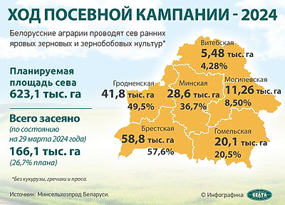 Инфографика. Ход посевной кампании - 2024