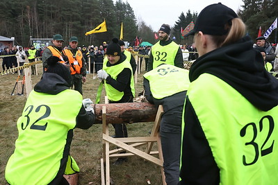 Лукашенко посетил чемпионат по колке дров среди журналистов