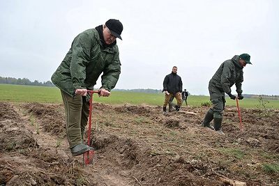 Лукашенко дал старт республиканской акции по восстановлению леса, пострадавшего после стихии