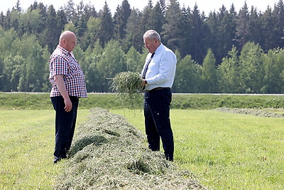 В Беларуси ведется заготовка кормов из трав первого укоса