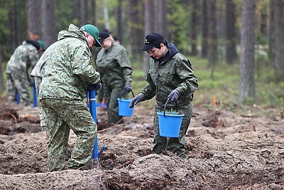 Шулейко об акции \"Аднавім лясы разам!\": высаживаем качественные саженцы с хорошей приживаемостью