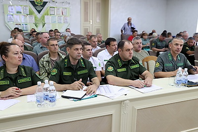 \"Через месяц начнем садить\". Кулик поделился планами по лесовосстановлению после июльской стихии