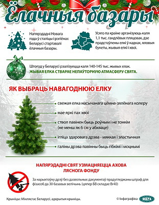 Инфографика. Елочные базары