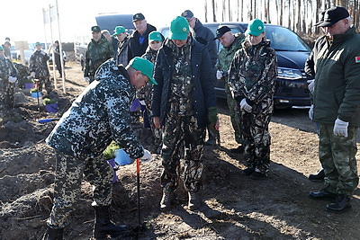 Пархомчик об акции \"Дай лесу новае жыццё!\": этот лес вырастет для будущего поколения