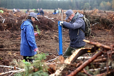 Вольфович: восстановление лесов на пострадавших территориях - наша общая задача