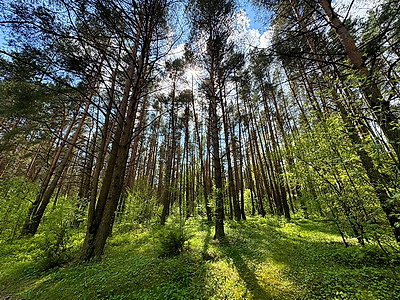 ФОТОХРОНИКА начинает новый информационный день