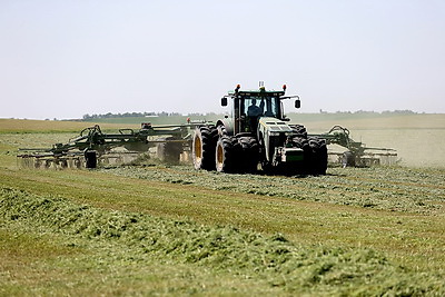 В Гродненской области идет активная заготовка кормов