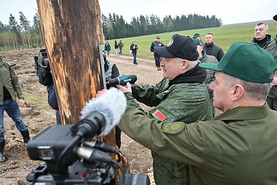 Лукашенко дал старт республиканской акции по восстановлению леса, пострадавшего после стихии