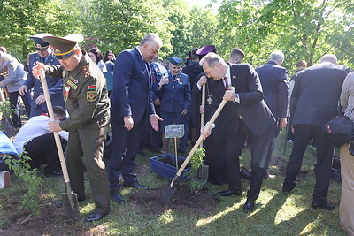 На аллее \"Сирень Победы\" в Гродно высадили новые кусты