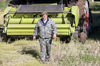 В Житковичском районе приступили к заготовке кормов из сурепицы