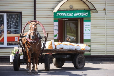 Потребкооперация Беларуси активно принимает сельхозпродукцию