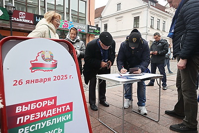 Сбор подписей для выдвижения кандидатов в Президенты Беларуси стартовал 7 ноября