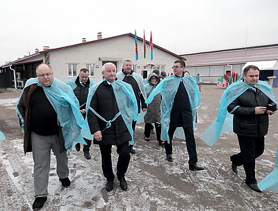 Крупный молочно-товарный комплекс открыли в Пинском районе