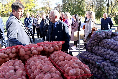 \"По каждой позиции серьезный рост\". Богданов о продажах белорусских овощей и фруктов на внутреннем рынке