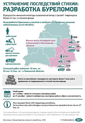 Инфографика. Устранение последствий стихии: разработка буреломов