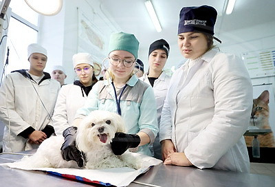 Создаем будущее, сохраняем традиции. Витебской ветеринарной академии 100 лет