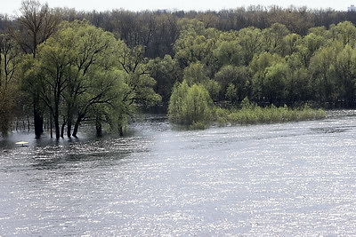 Весенний день в Гомельском парке