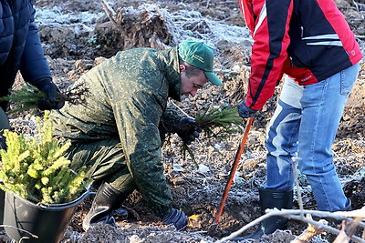 Акция \"Дай лесу новае жыццё!\" проходит в Беларуси