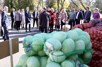 \"По каждой позиции серьезный рост\". Богданов о продажах белорусских овощей и фруктов на внутреннем рынке