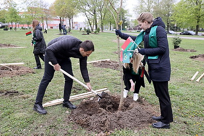 В Гродно в честь 100-летия образования органов торговли заложили капсулу времени и аллею