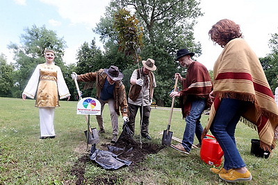 Аллея дружбы в Гродно пополнилась новыми деревьями от диаспор