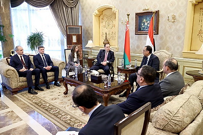 Головченко прибыл с официальным визитом в Египет