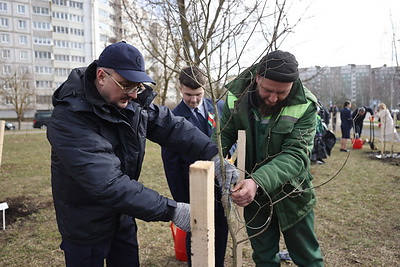 Аллея в память о руководителях и работниках прокуратуры БССР и Республики Беларусь высажена в Минске