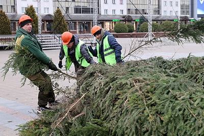 Монтаж новогодней елки идет в Витебске