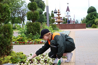 Студотряд из Белыничей занимается благоустройством в родном городе