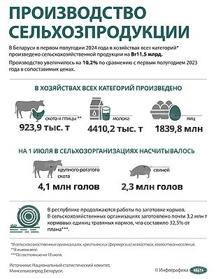 Инфографика. Производство сельхозпродукции