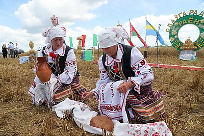 Славгородский район первым в Могилевской области приступил к уборке озимого ячменя