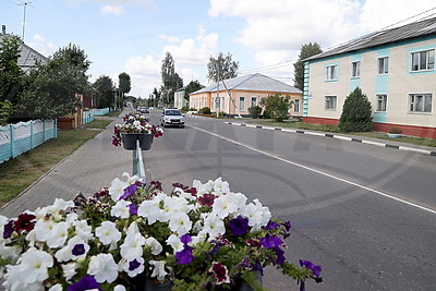 Климовичи готовятся к областному празднику тружеников села \"Дожинки-2024\"