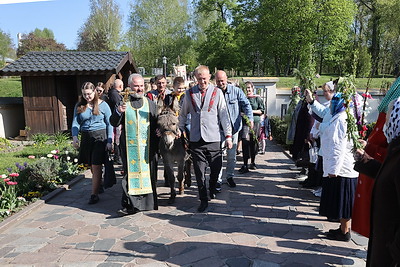 Шествие на осляти в Вербное воскресенье провели в Коложской церкви